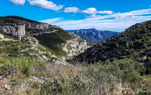 6901e0187c370_20251026140235.jpg